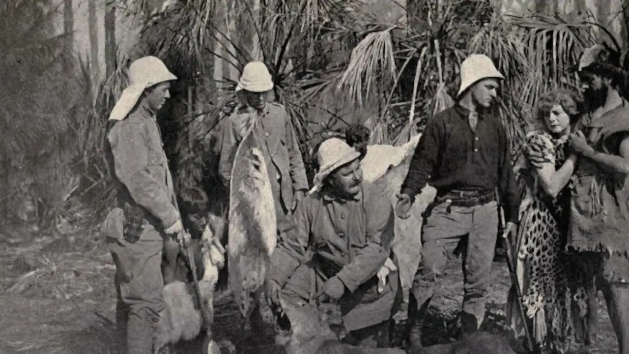 Back to the Primitive backdrop