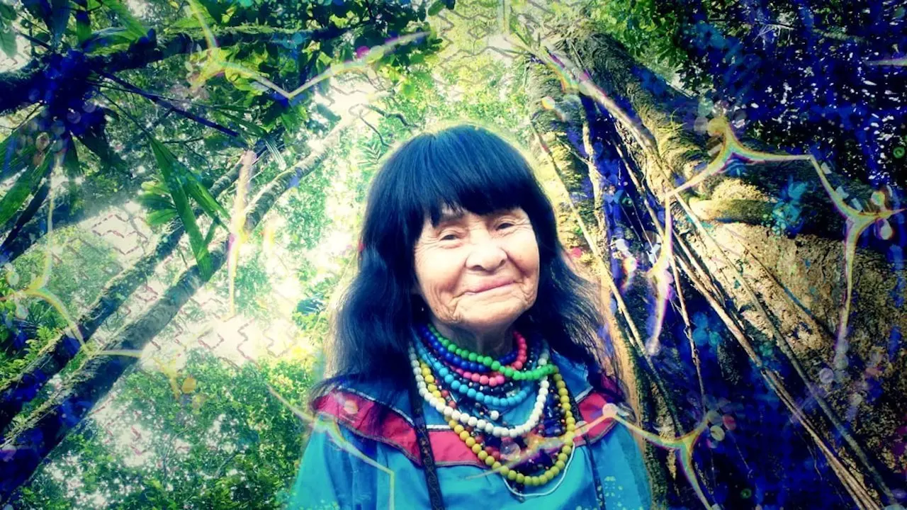 Shipibo: Learning Through the Light backdrop