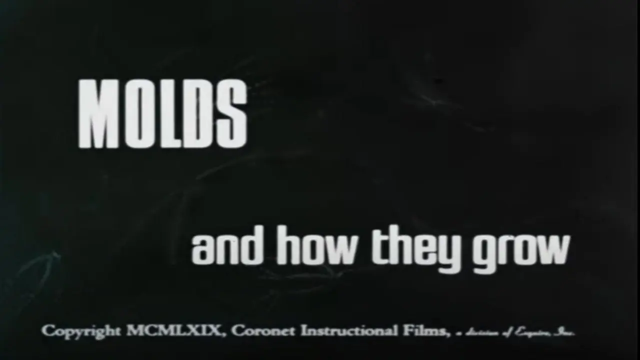 Molds and How They Grow backdrop