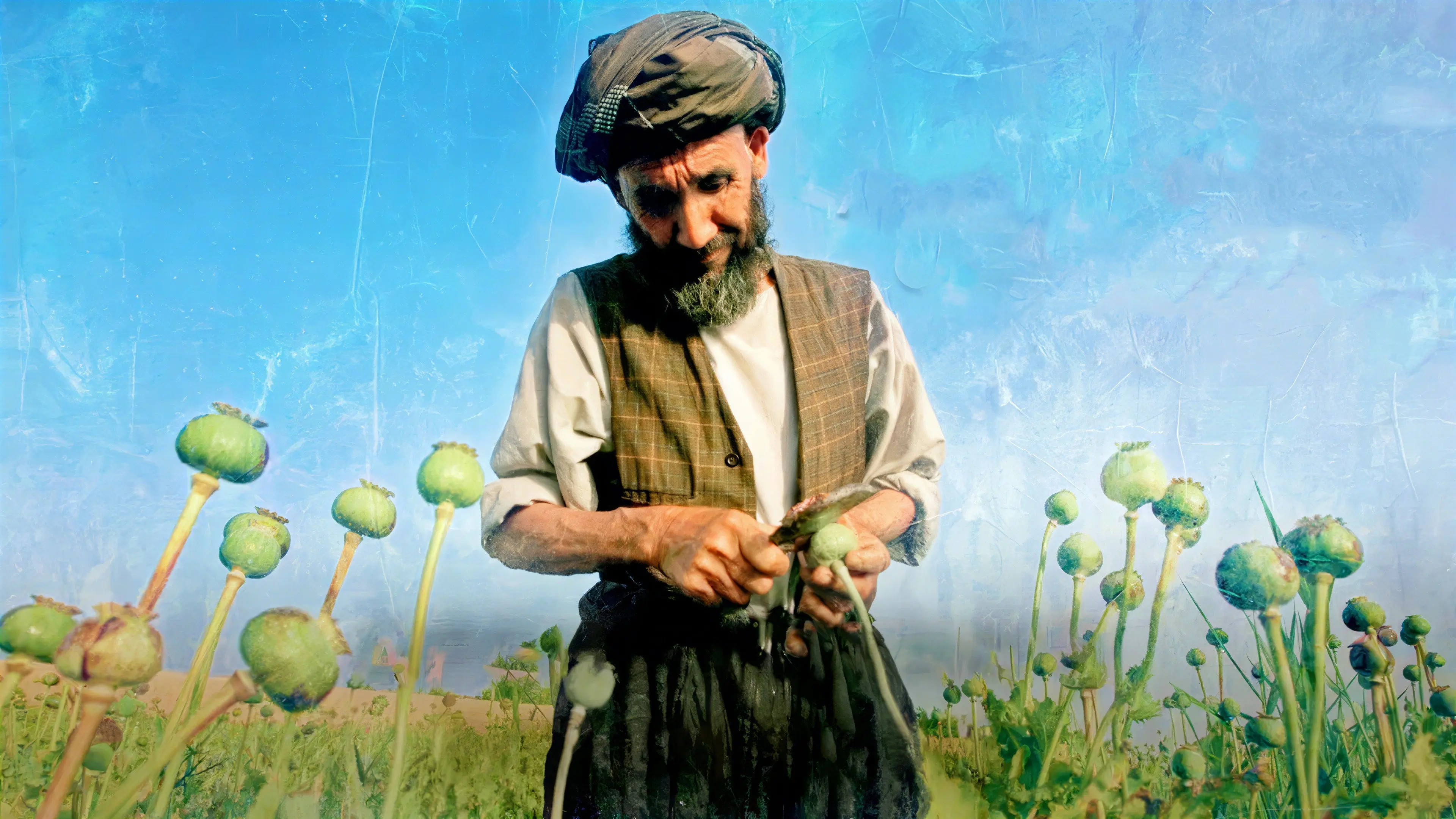 Afghanistan's Opium Trail backdrop