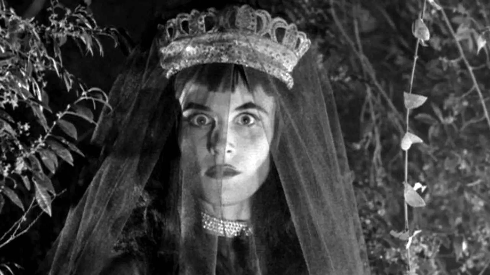 Revenge of the Dead backdrop