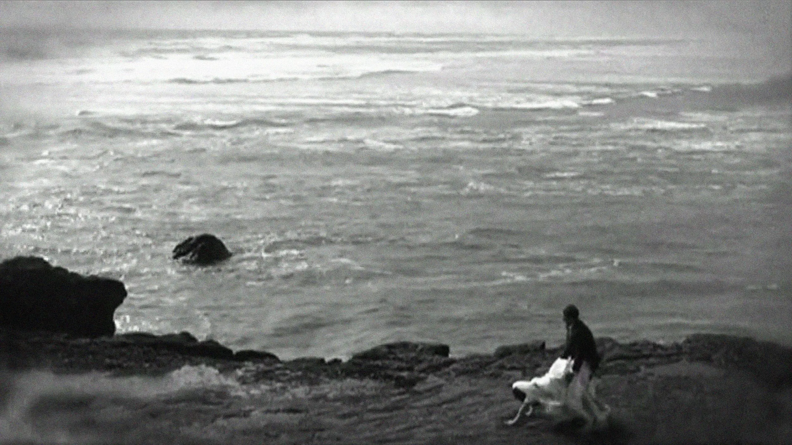 42 One Dream Rush backdrop