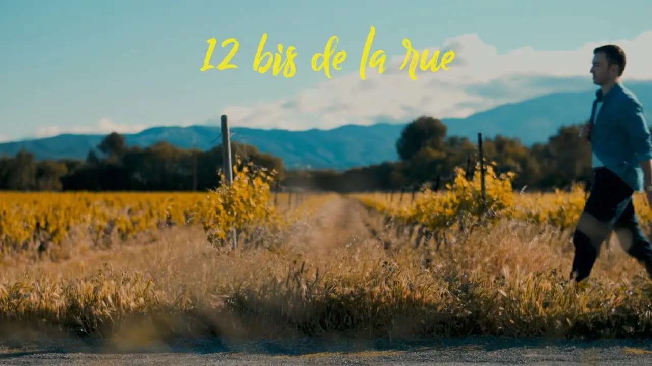12 Bis de la rue backdrop
