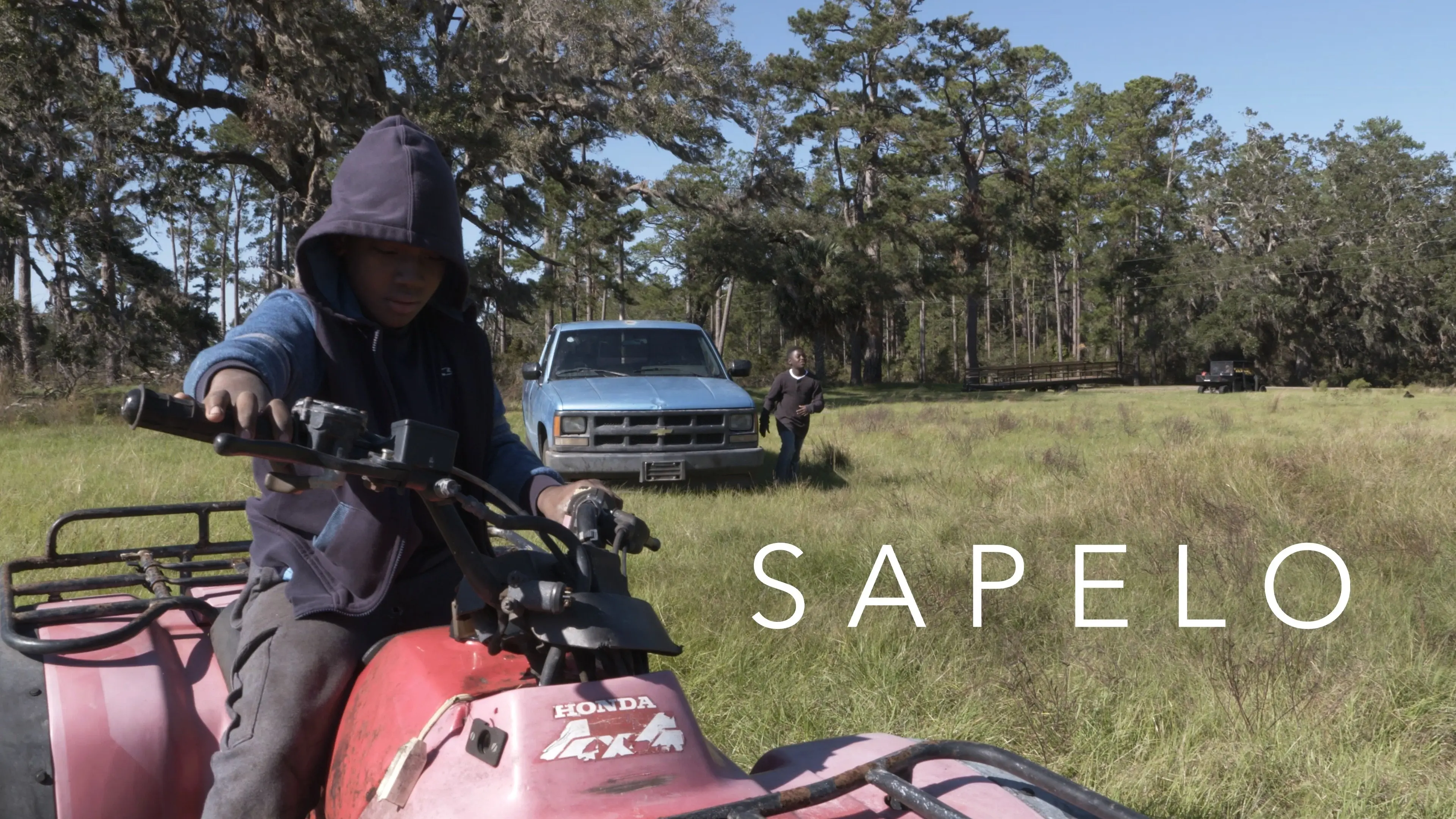 Sapelo backdrop