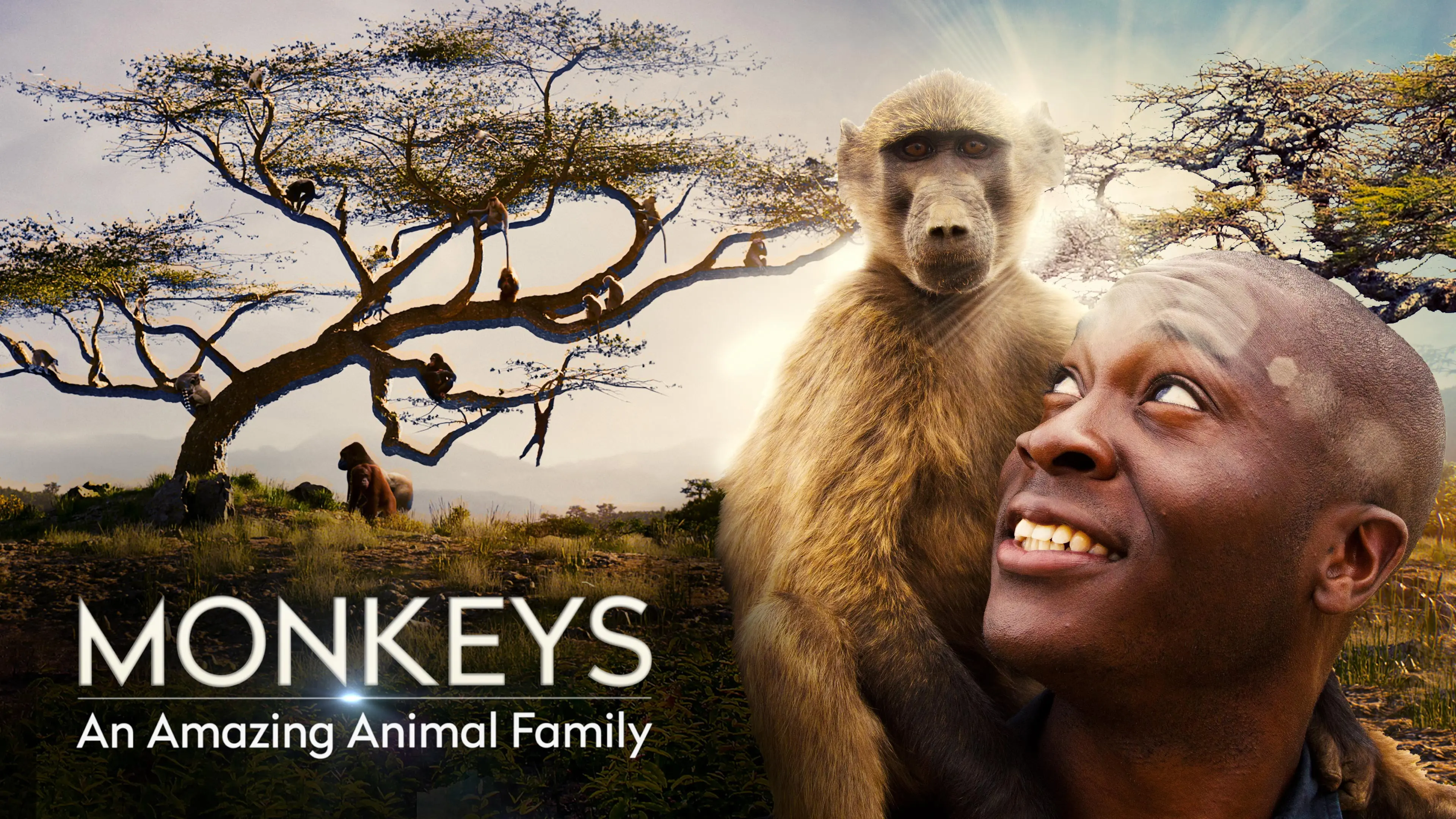 Monkeys: An Amazing Animal Family backdrop