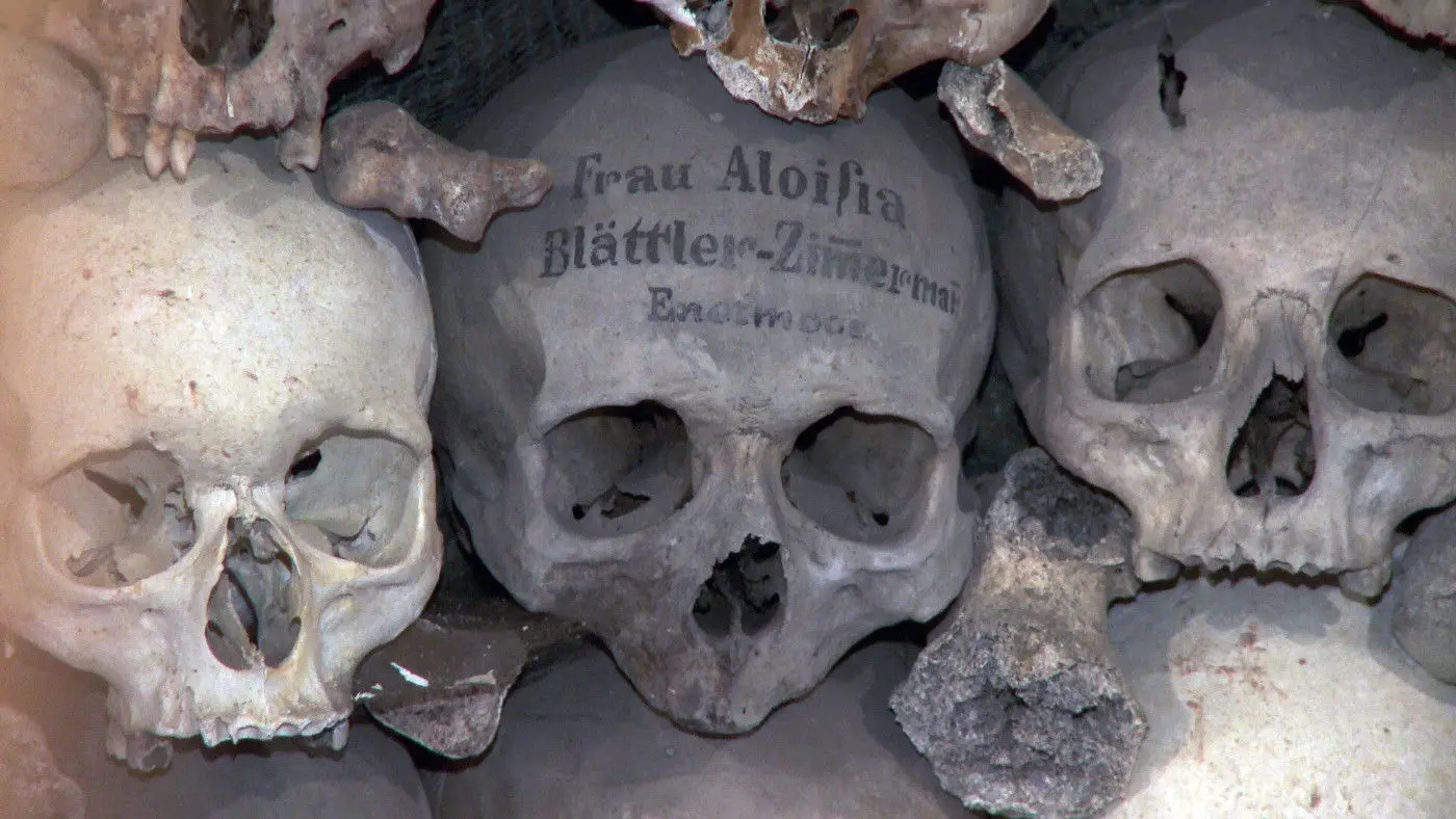 The Revenants backdrop