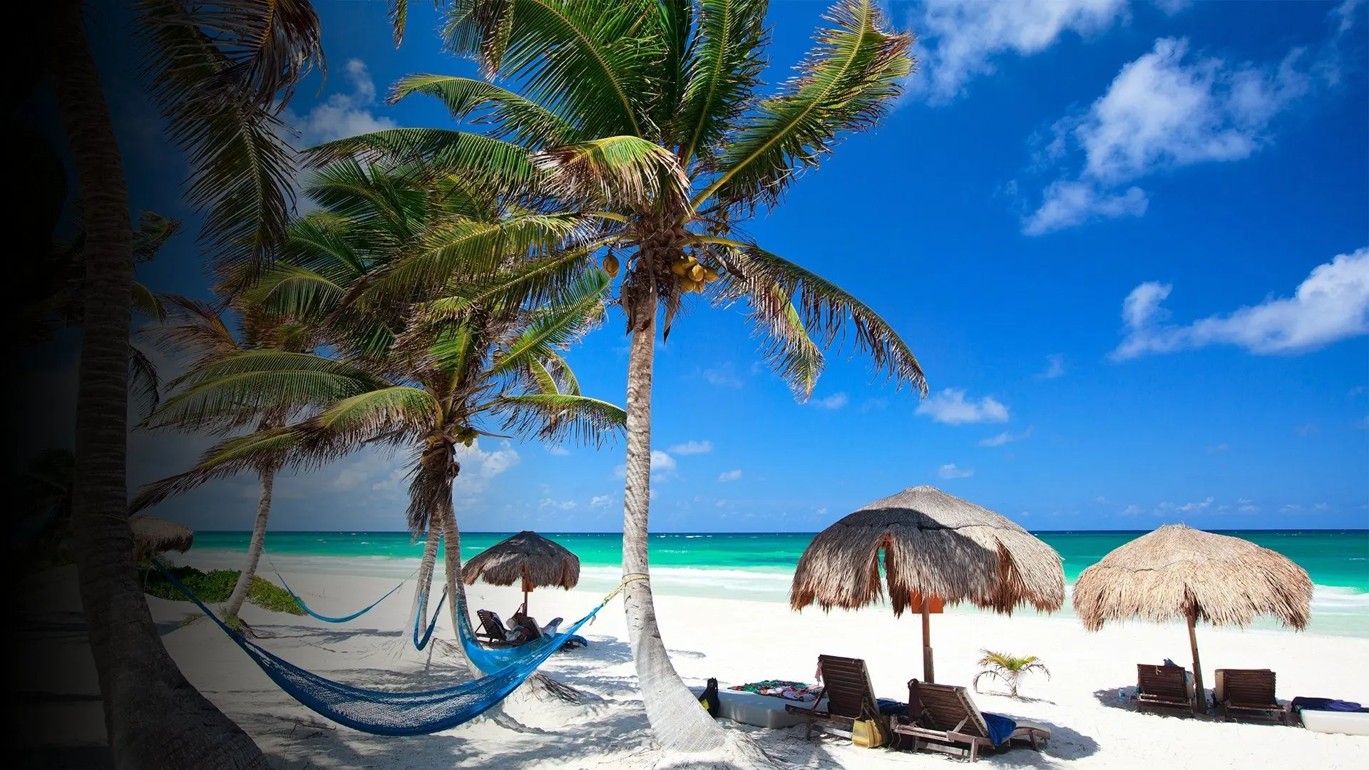 Tattoo Fixers on Holiday backdrop