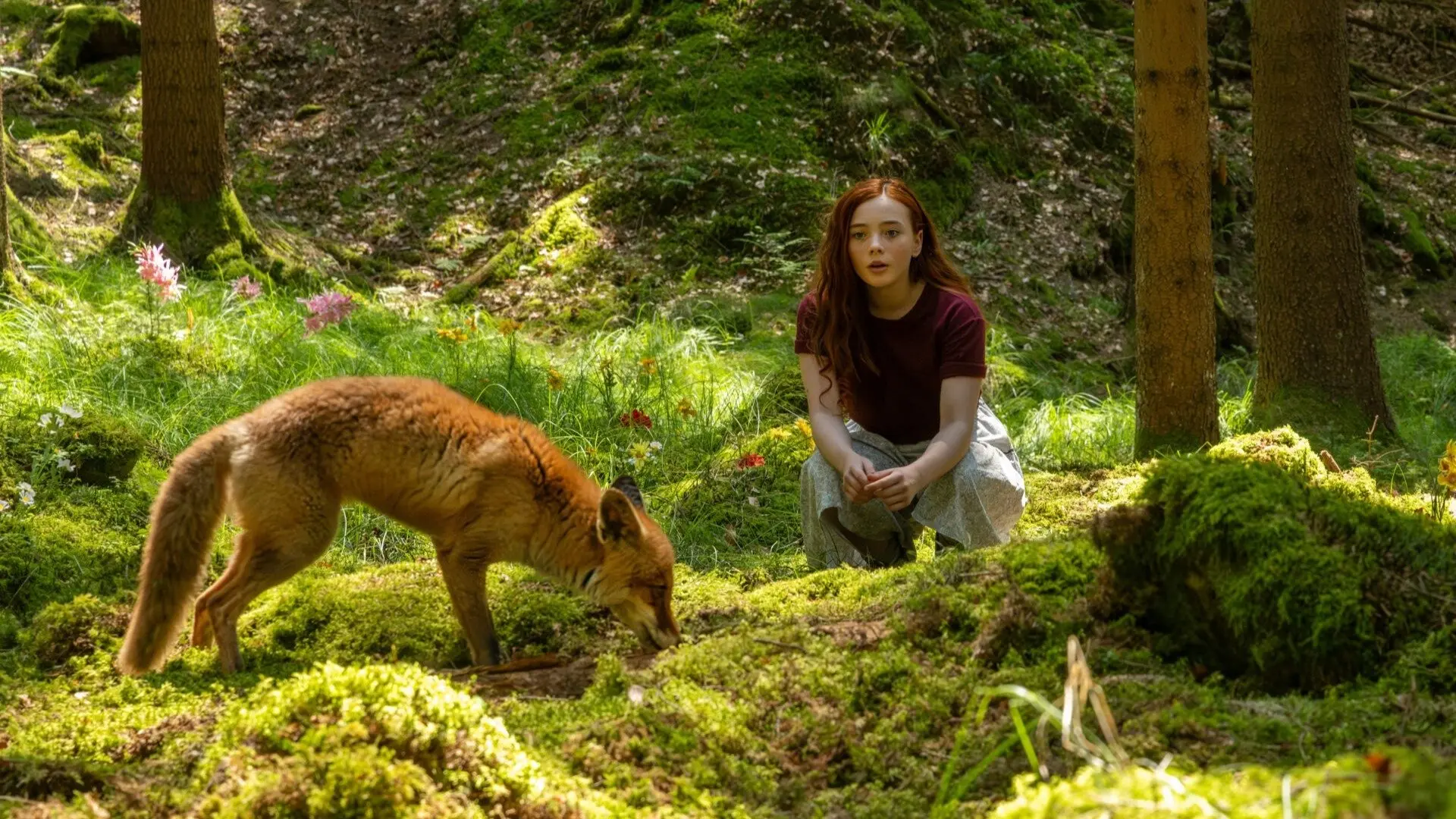 A Girl Named Willow backdrop