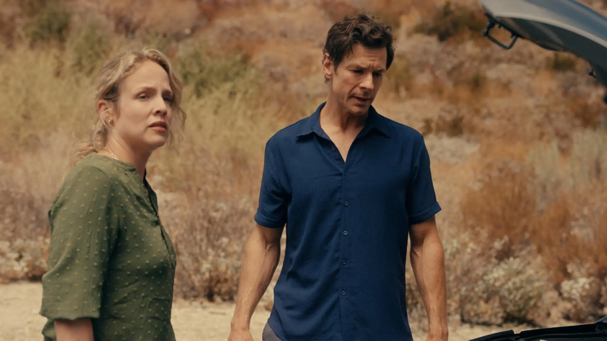 Vanished in Death Valley backdrop