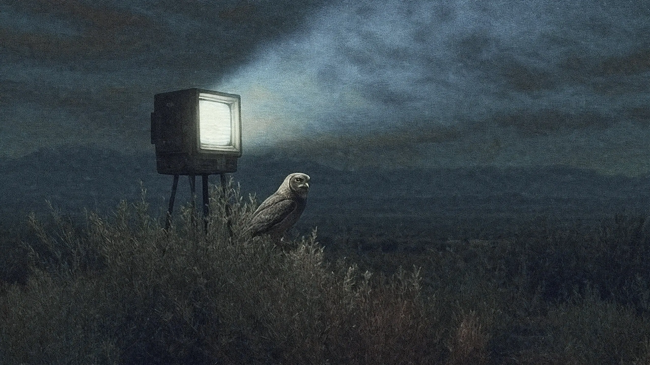 Analogous Life backdrop