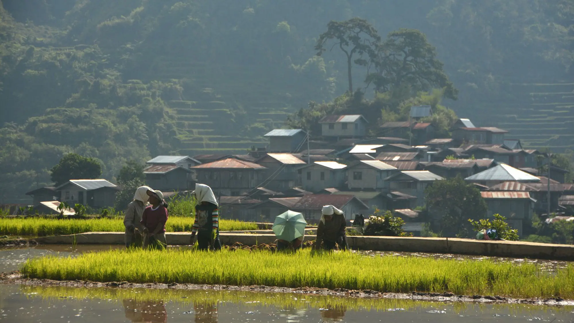 Bontok, Rapeless backdrop
