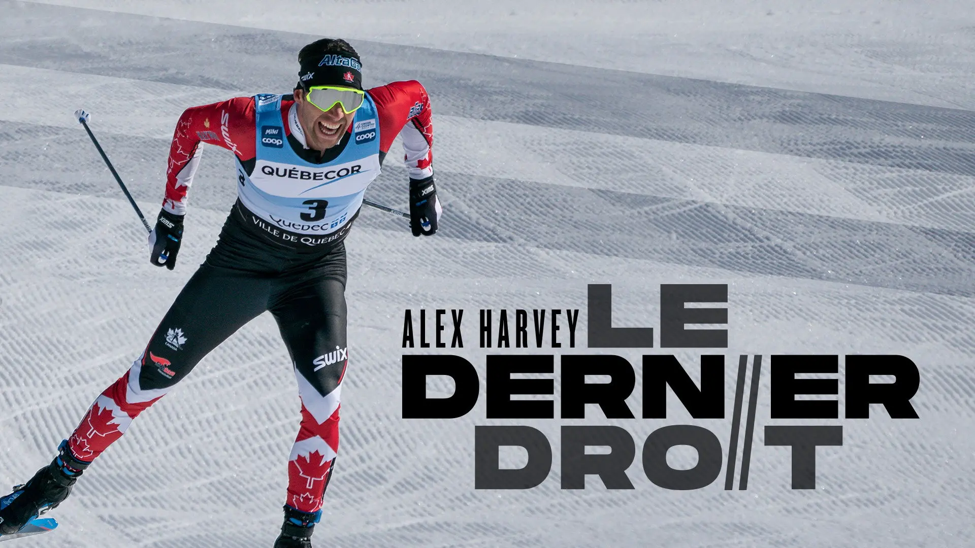 Alex Harvey : le dernier droit backdrop