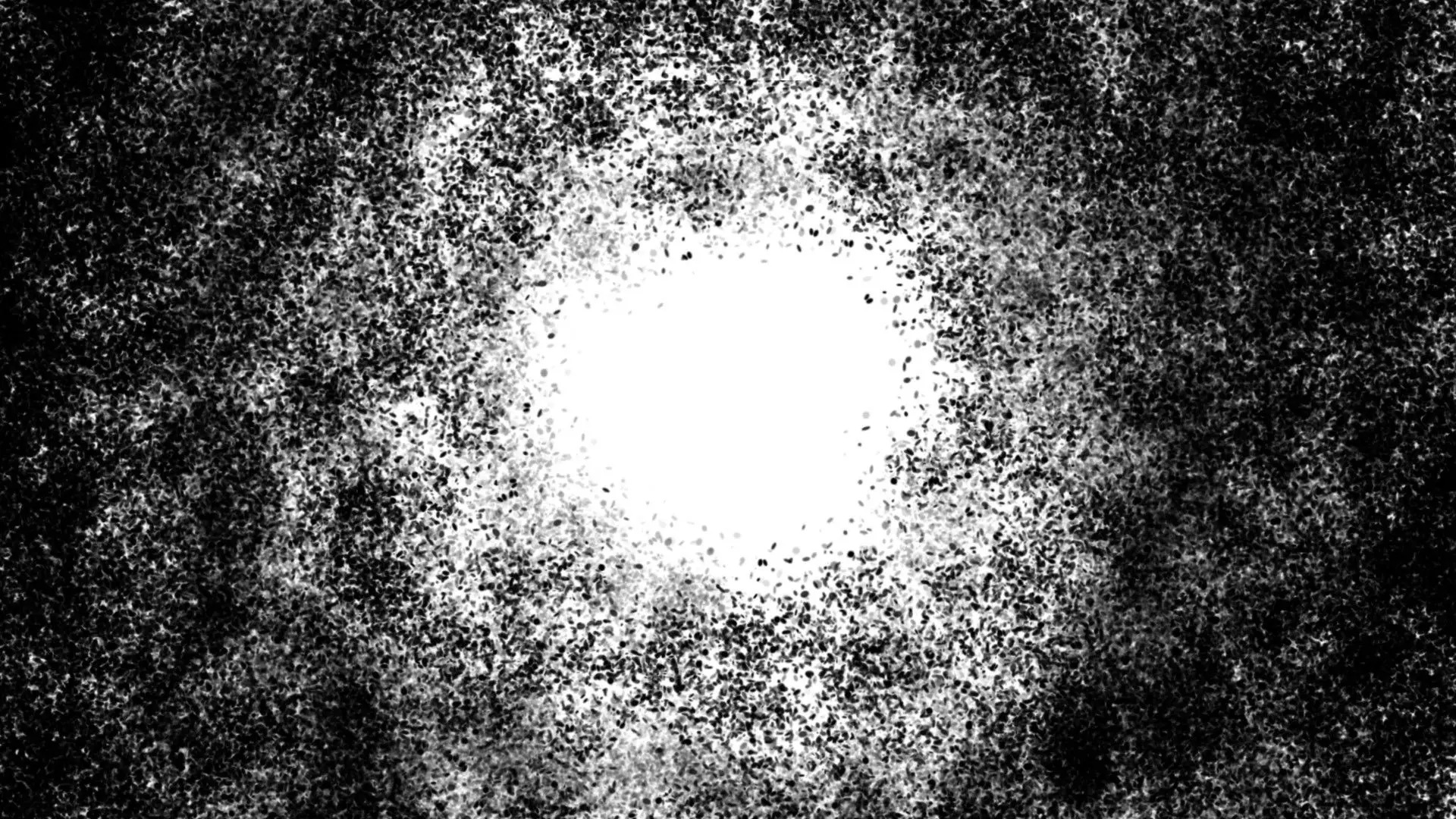 The Frisbee backdrop