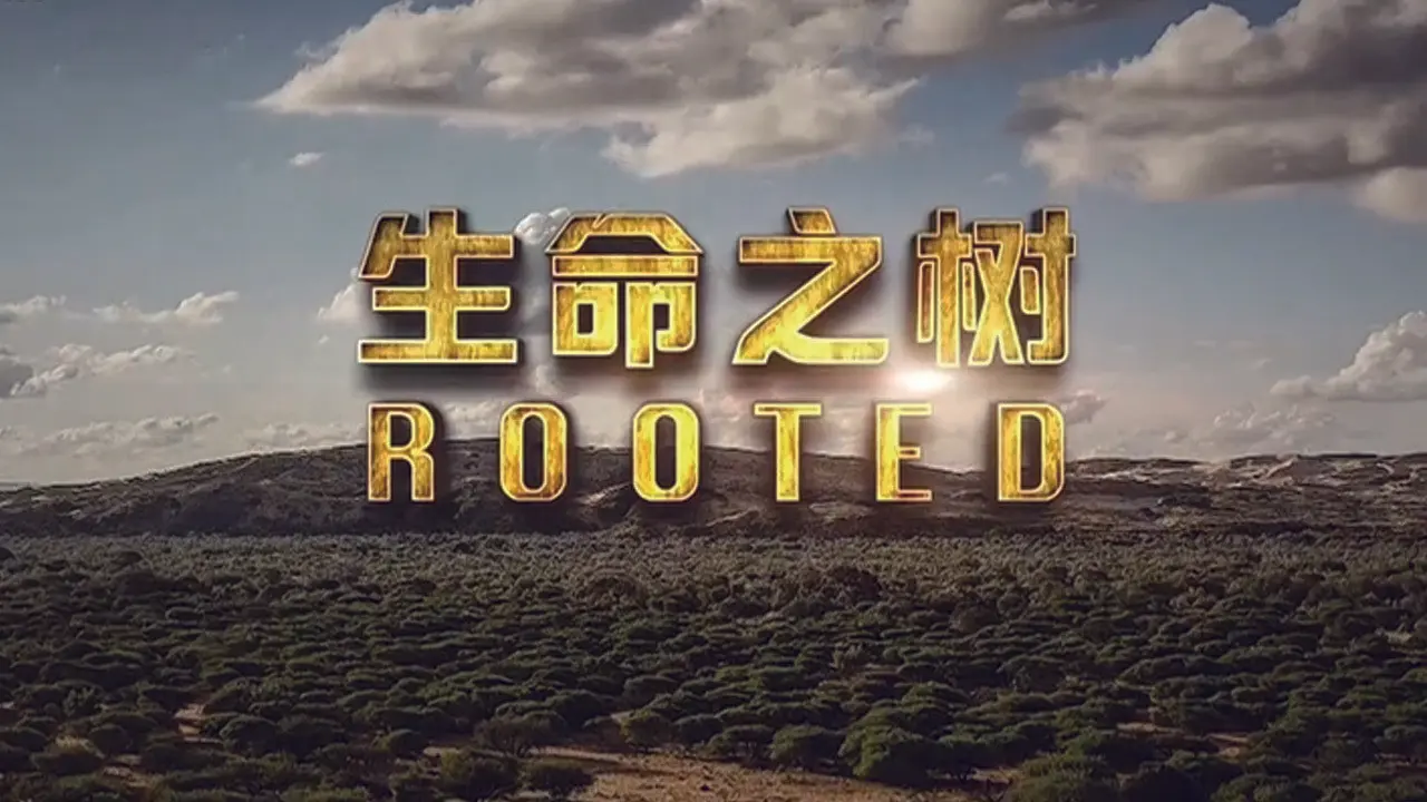 Rooted backdrop