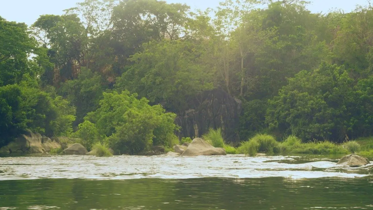 The Tale of a Rainbow Fish backdrop