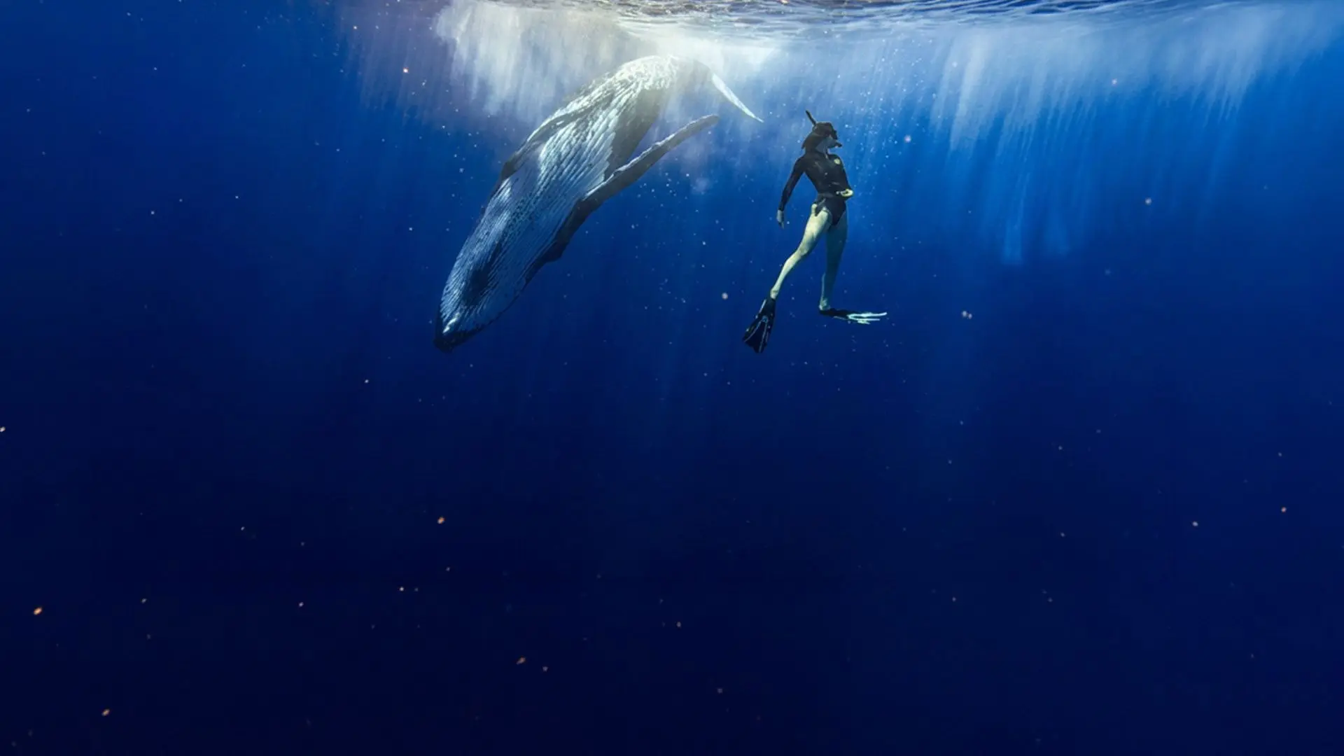 Le souffle de vie backdrop