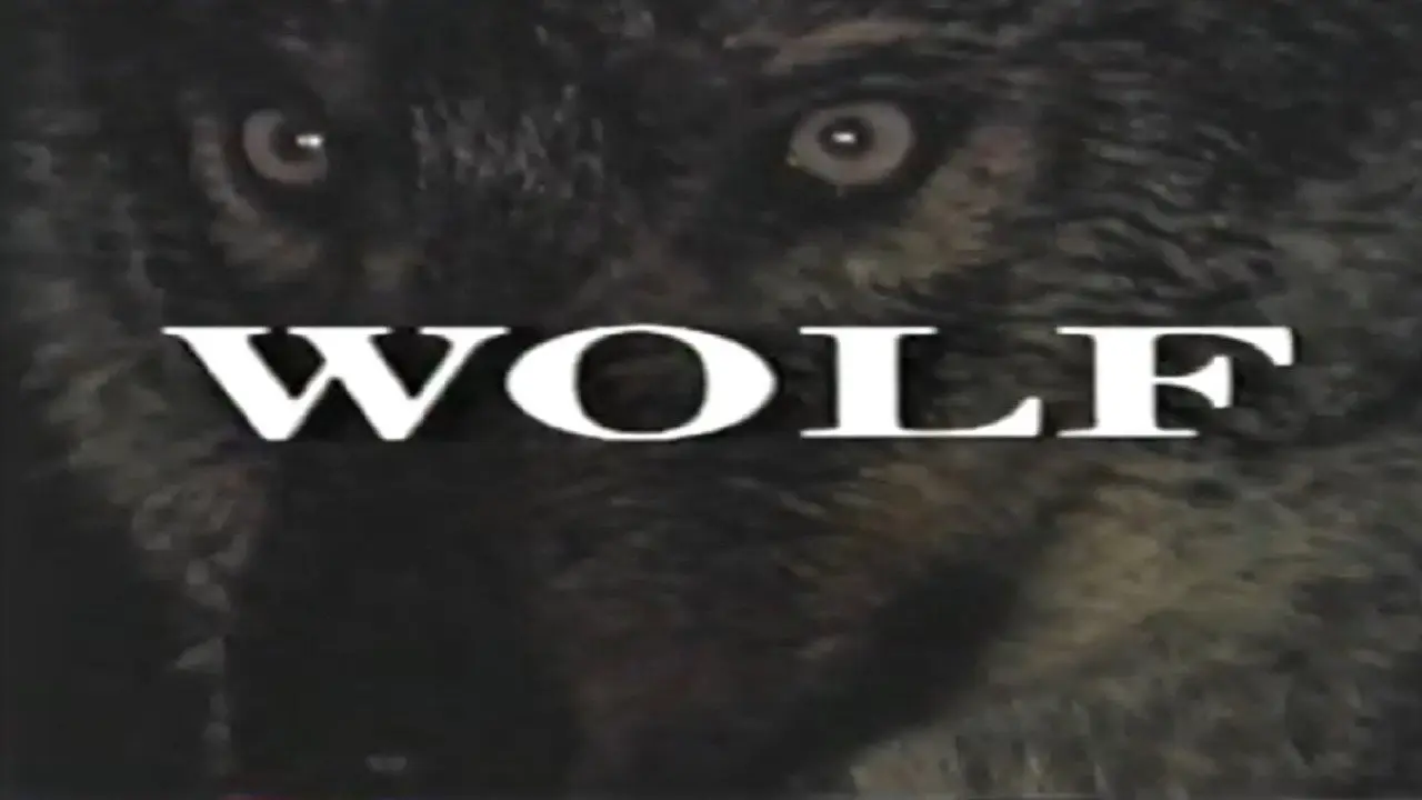 Predators of the Wild: Wolf backdrop