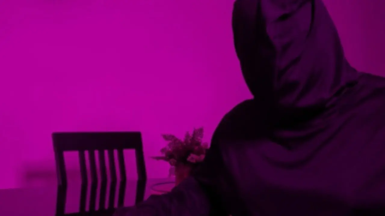 Paranoia Nocturna backdrop