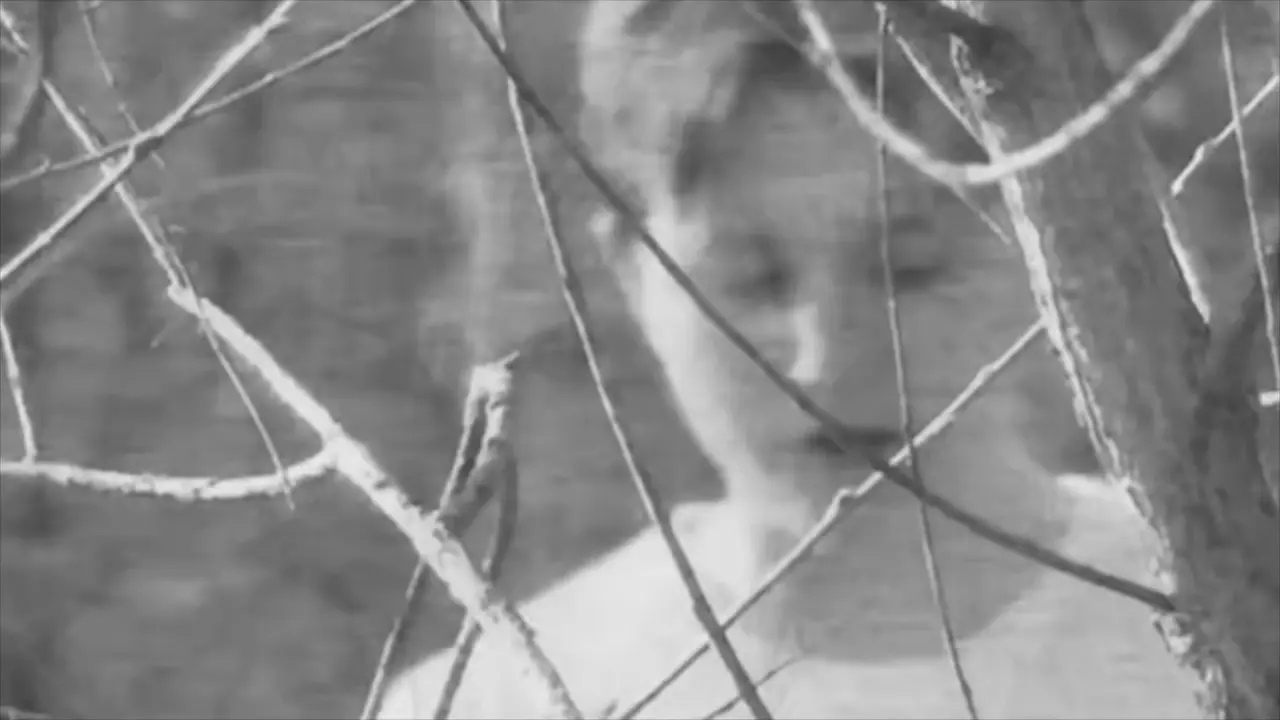 Montage of Vitrine backdrop