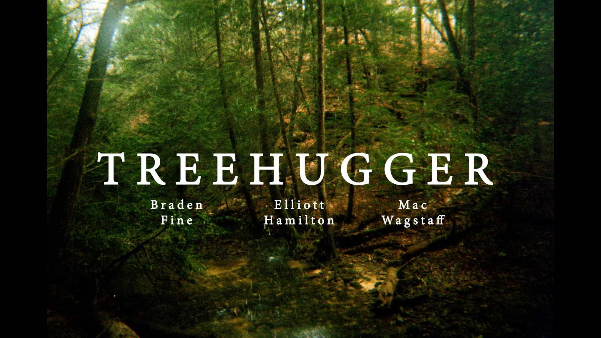 Treehugger backdrop