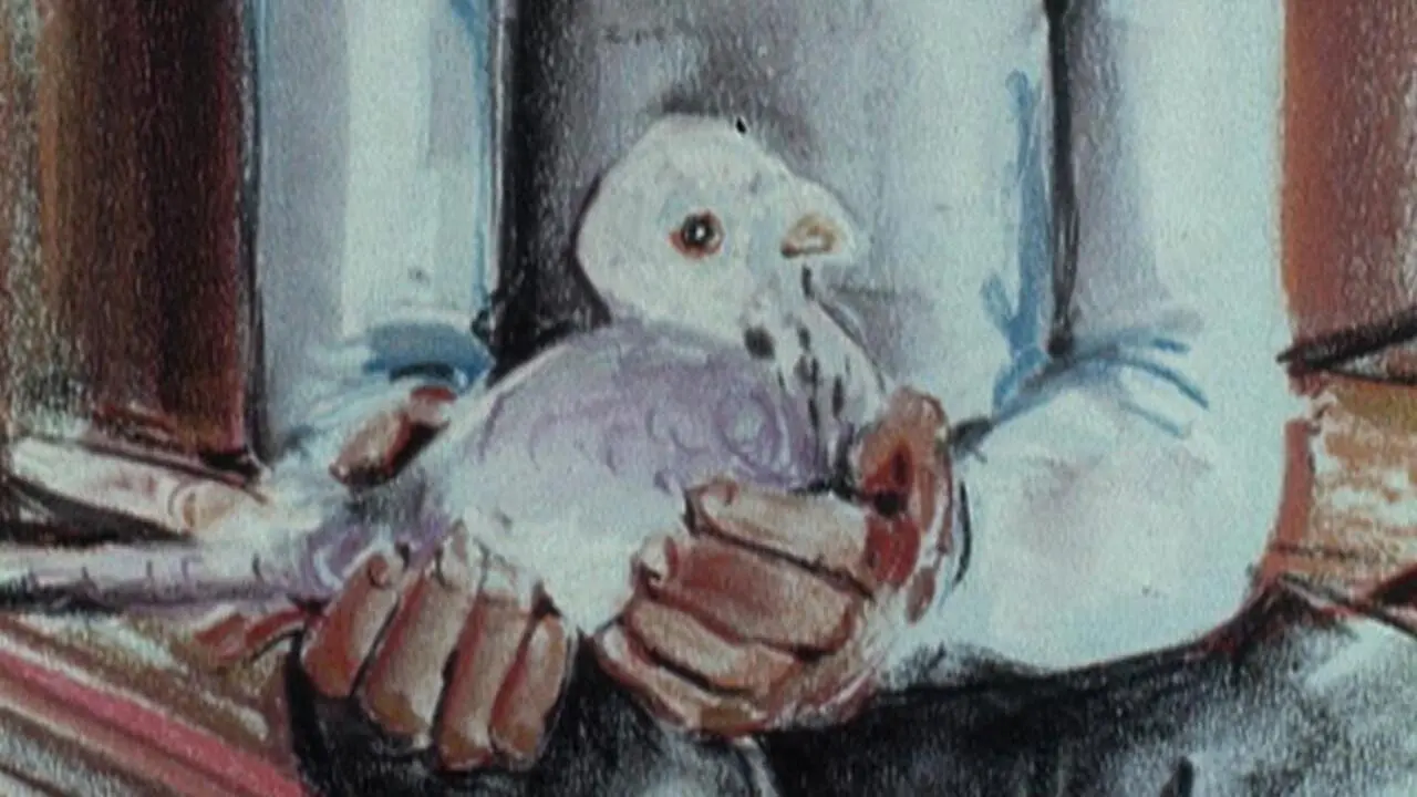The Pigeon Cree backdrop