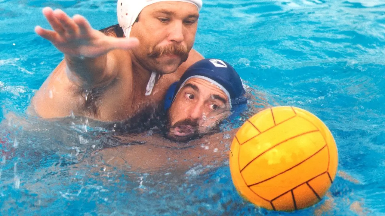 Red Wood Pigeon backdrop