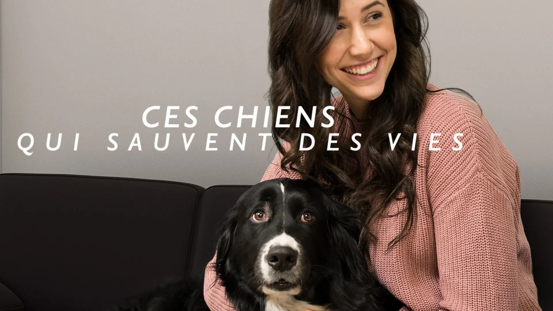 Ces chiens qui sauvent des vies backdrop