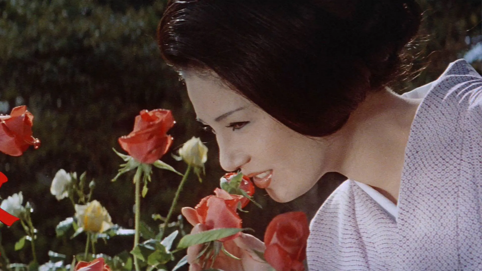 Flower & Snake backdrop