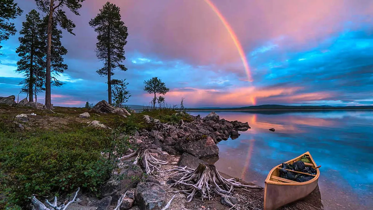 Wild Scandinavia backdrop