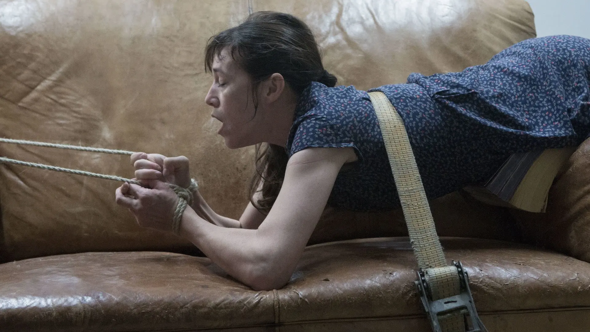 Nymphomaniac: Vol. II backdrop