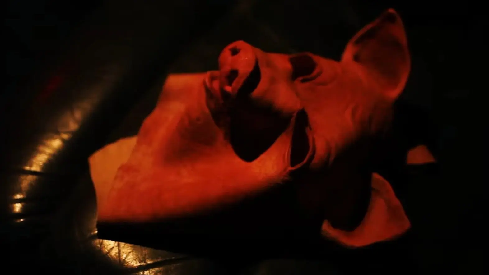 Pig Man backdrop