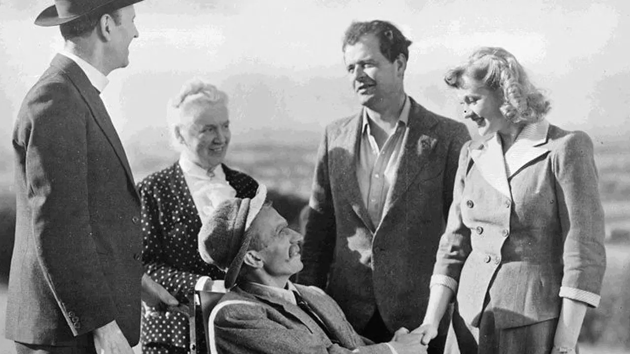 Tawny Pipit backdrop