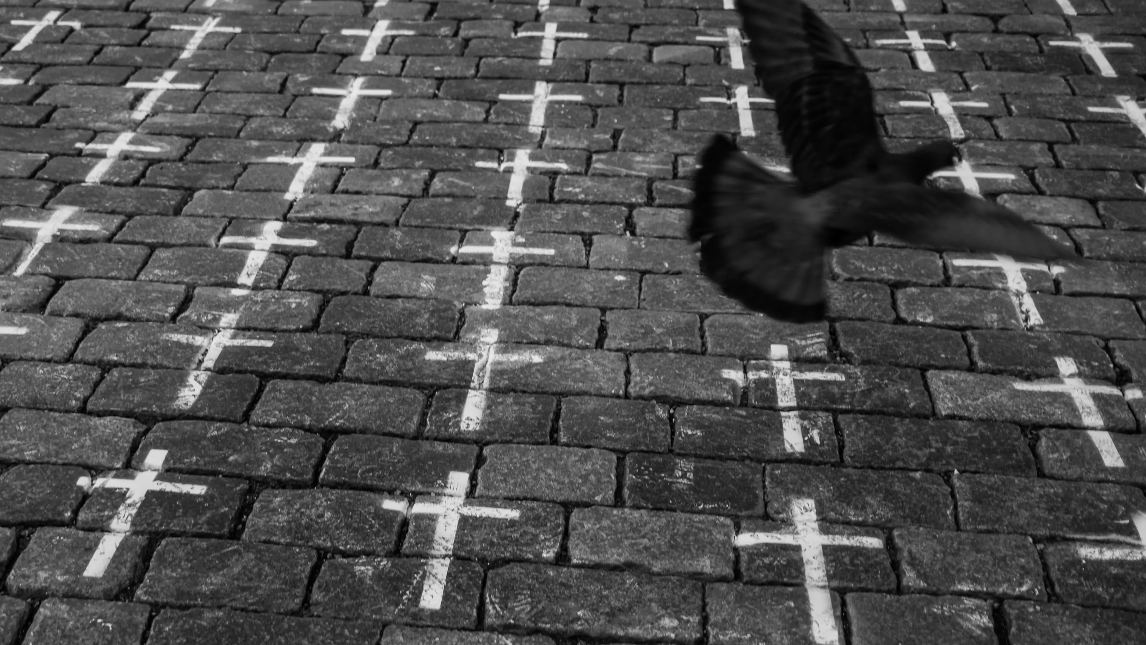 The Great Nothing backdrop