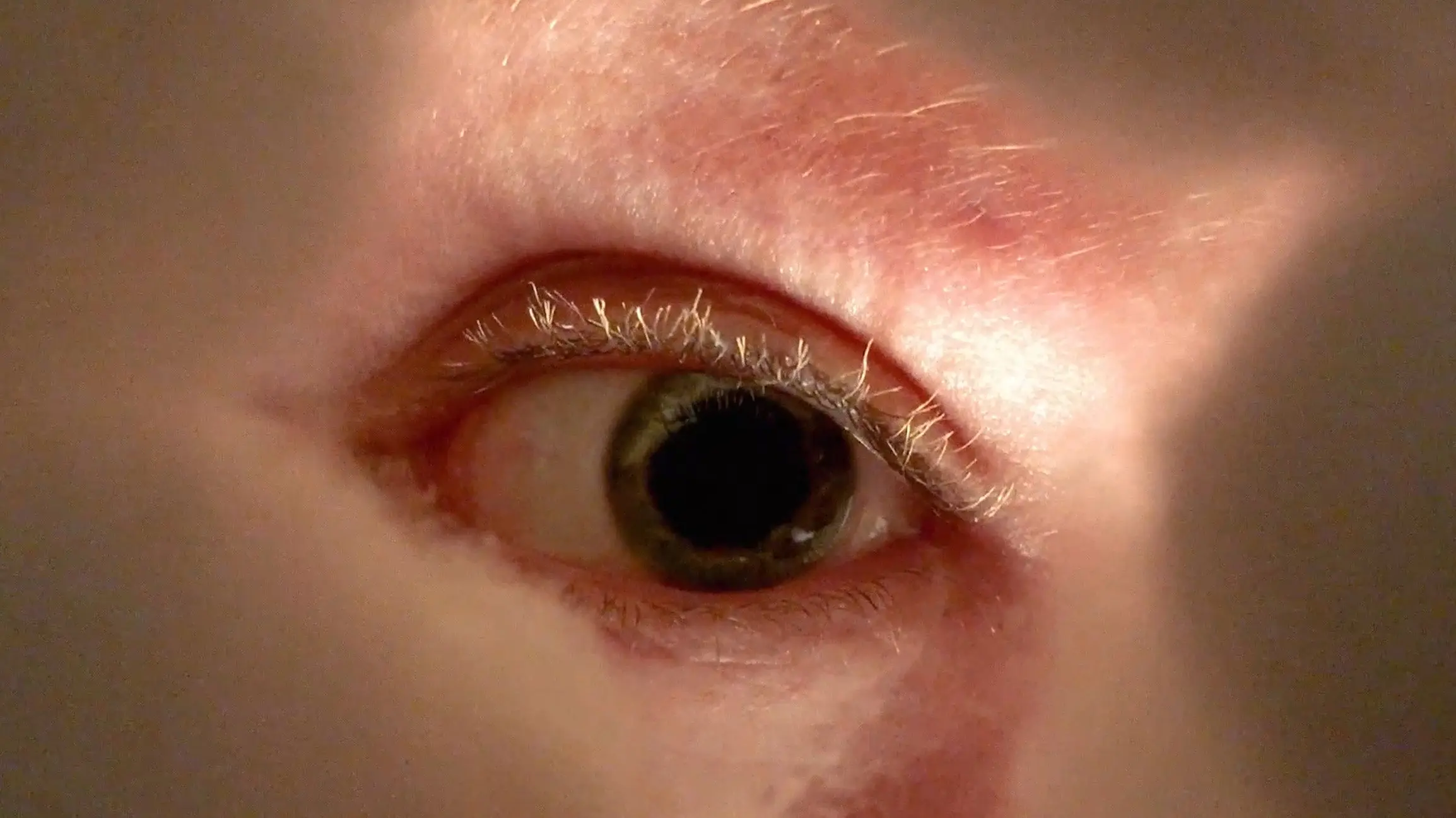 Downturned Umbrellas backdrop