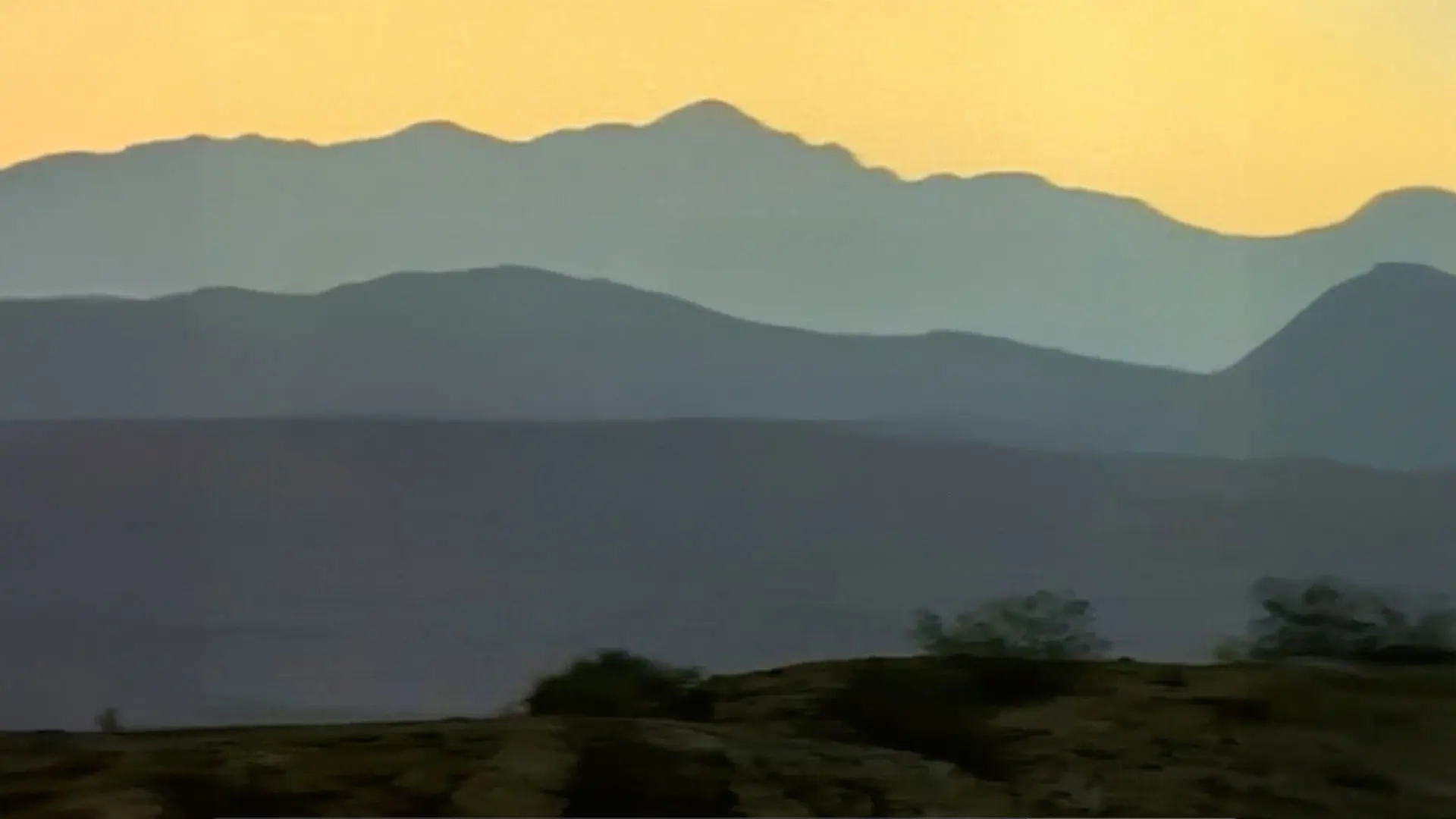 Dinosaurs Inside & Out backdrop