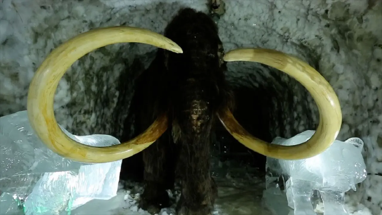 Passions For The Mammoth backdrop