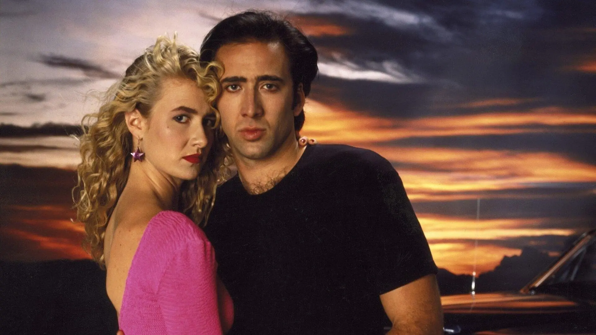 Wild at Heart backdrop