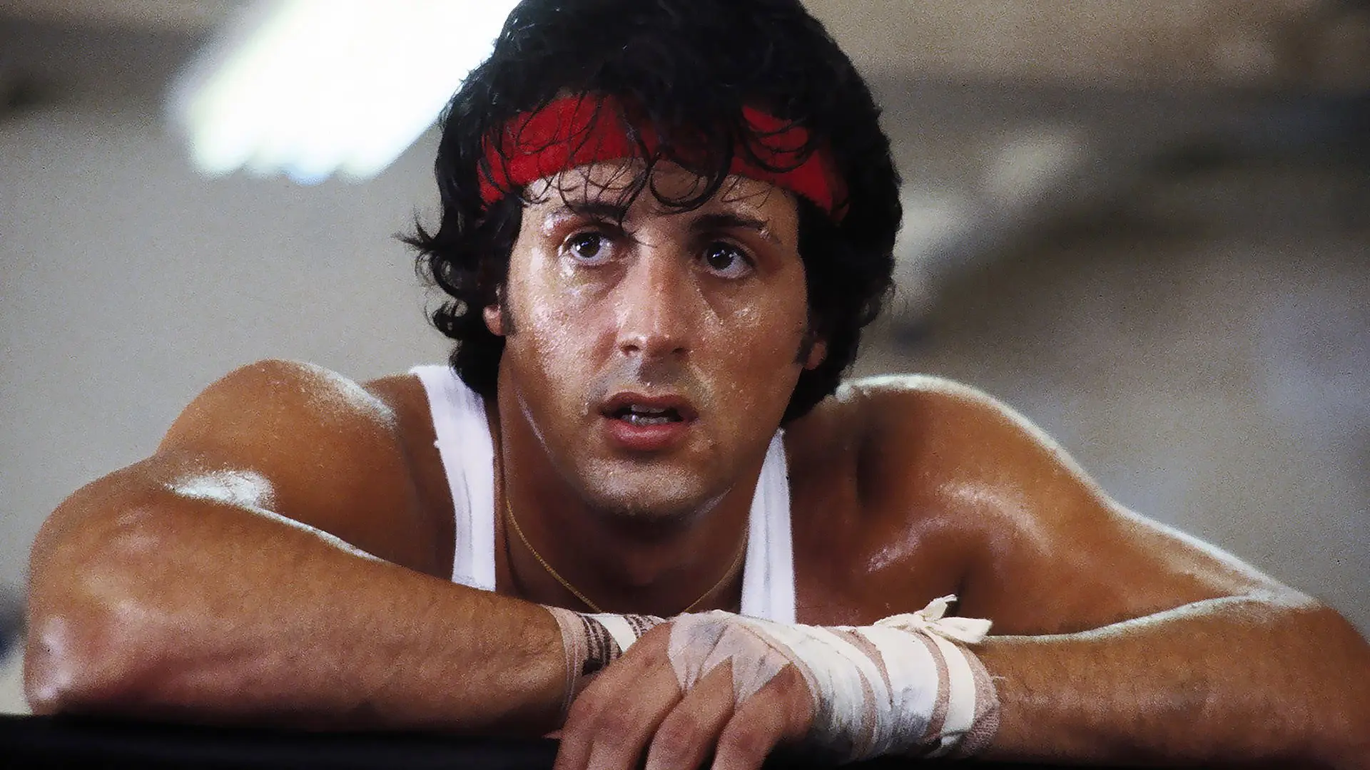 Rocky II backdrop