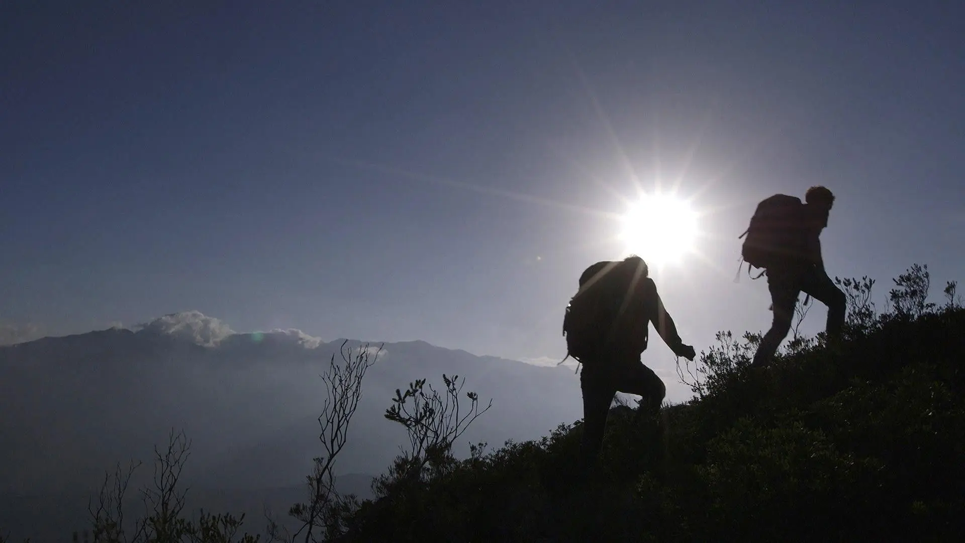 De helden van Arnout backdrop