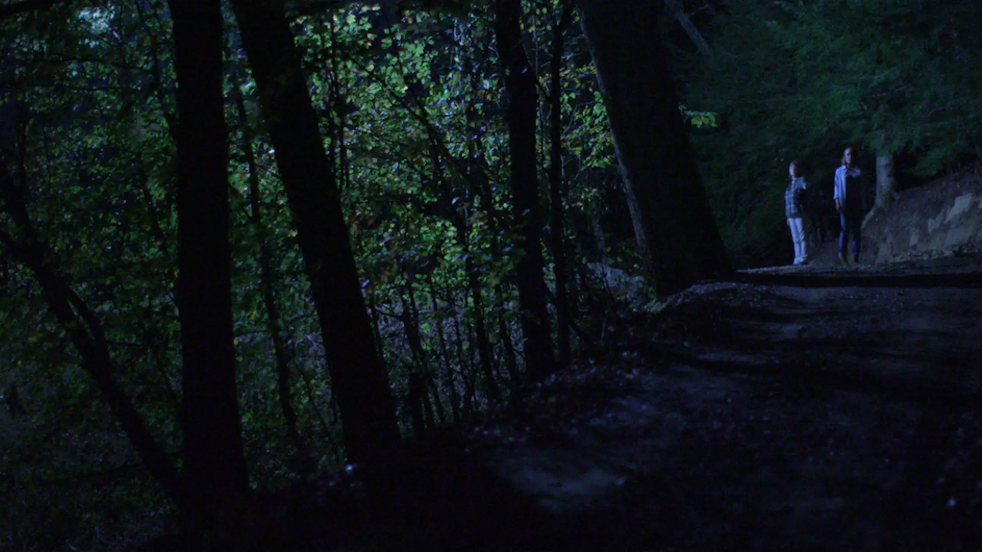 Below the Trees backdrop