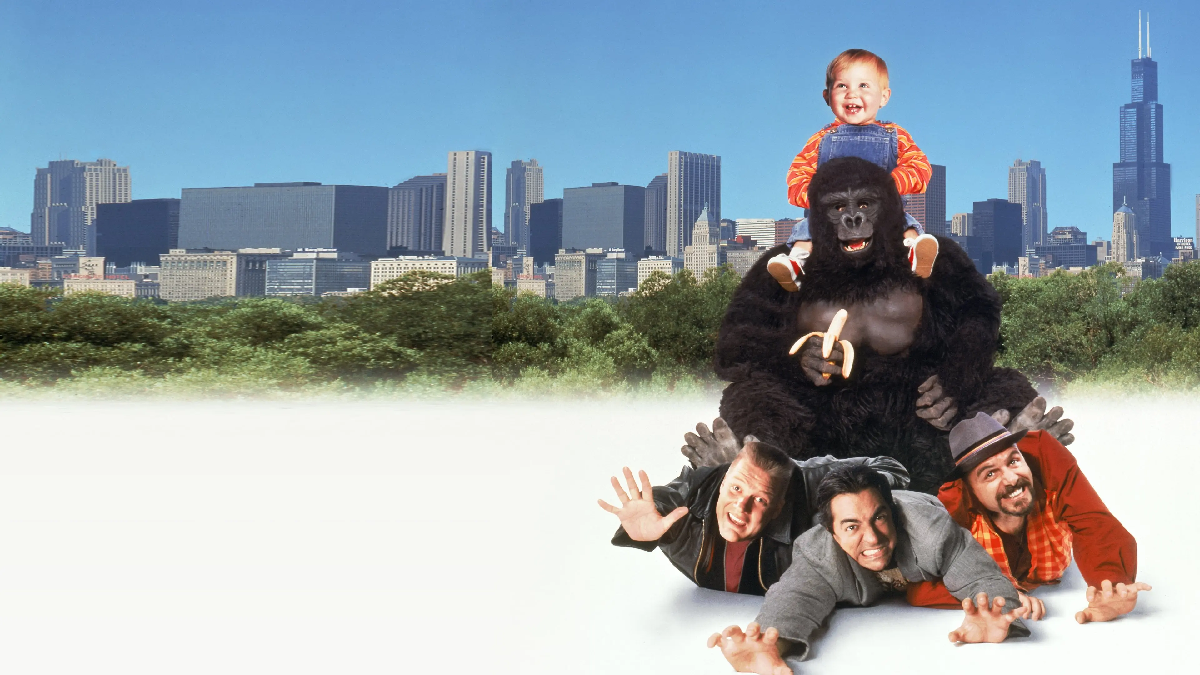 Baby's Day Out backdrop