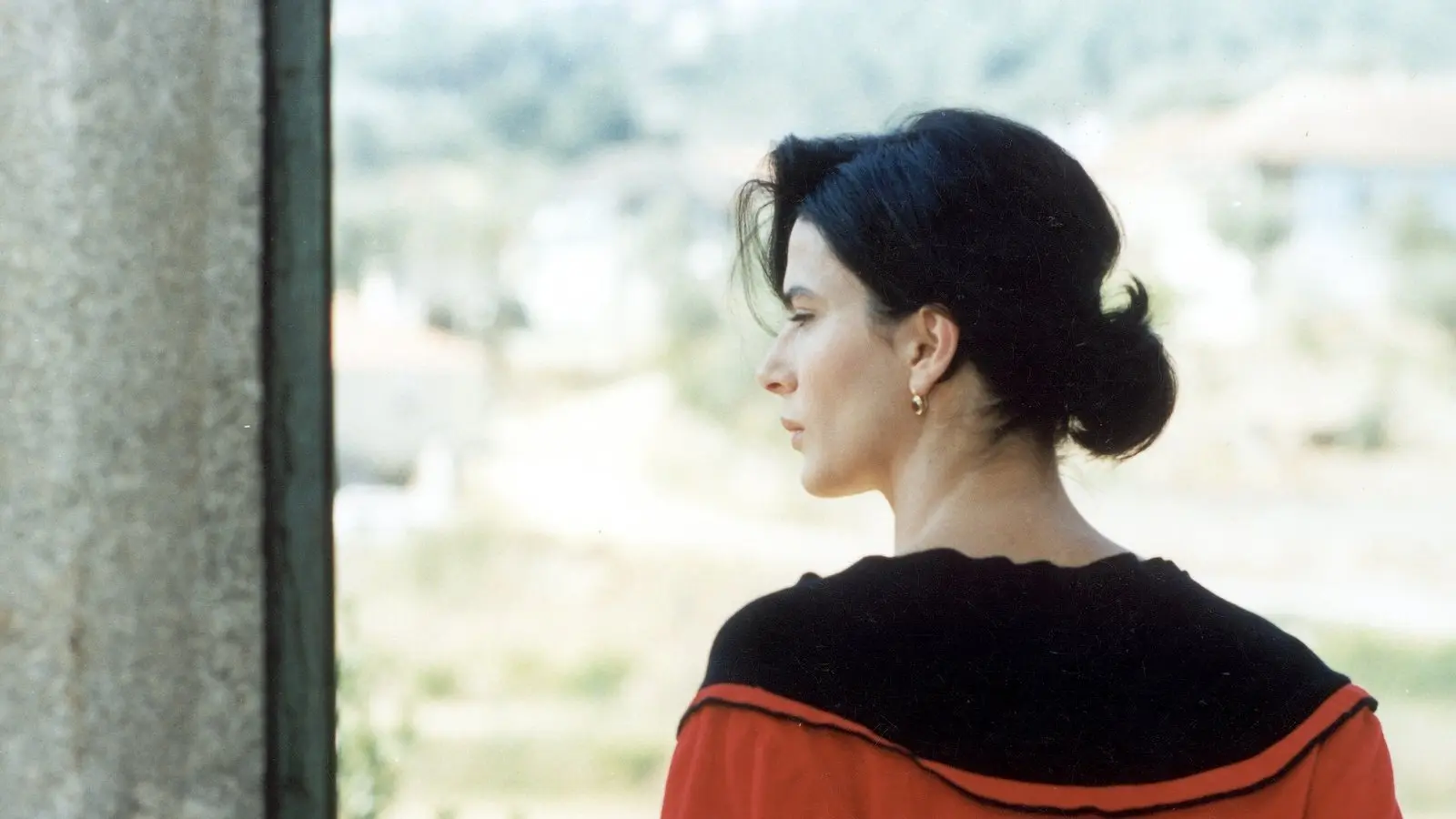 Where the Sun Beats backdrop