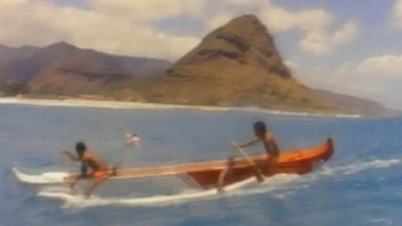 A Little Hawaiian Style backdrop