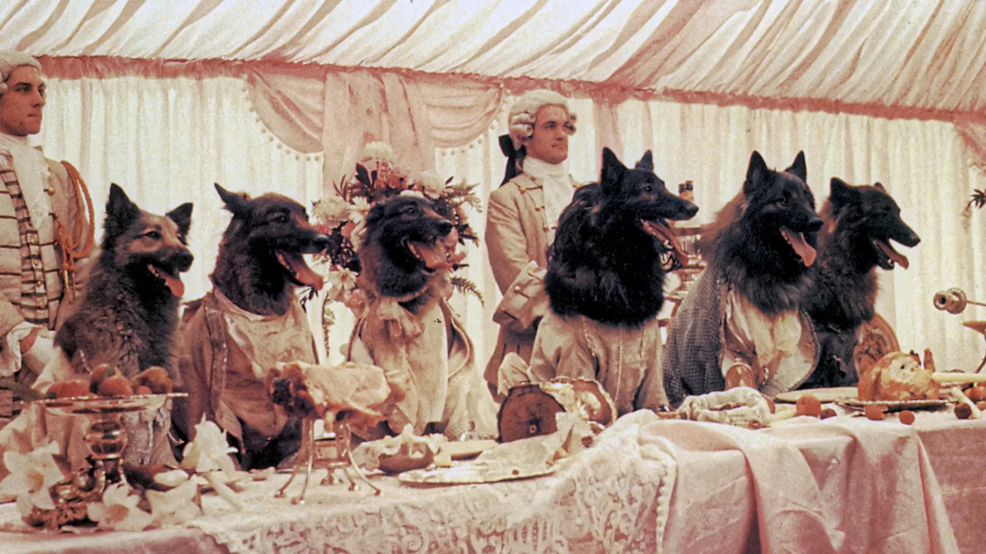 The Company of Wolves backdrop