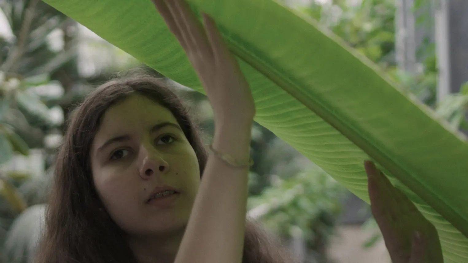 I See in the Dark backdrop