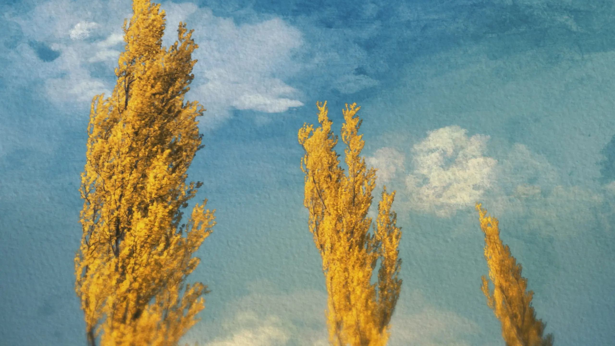Poplars backdrop