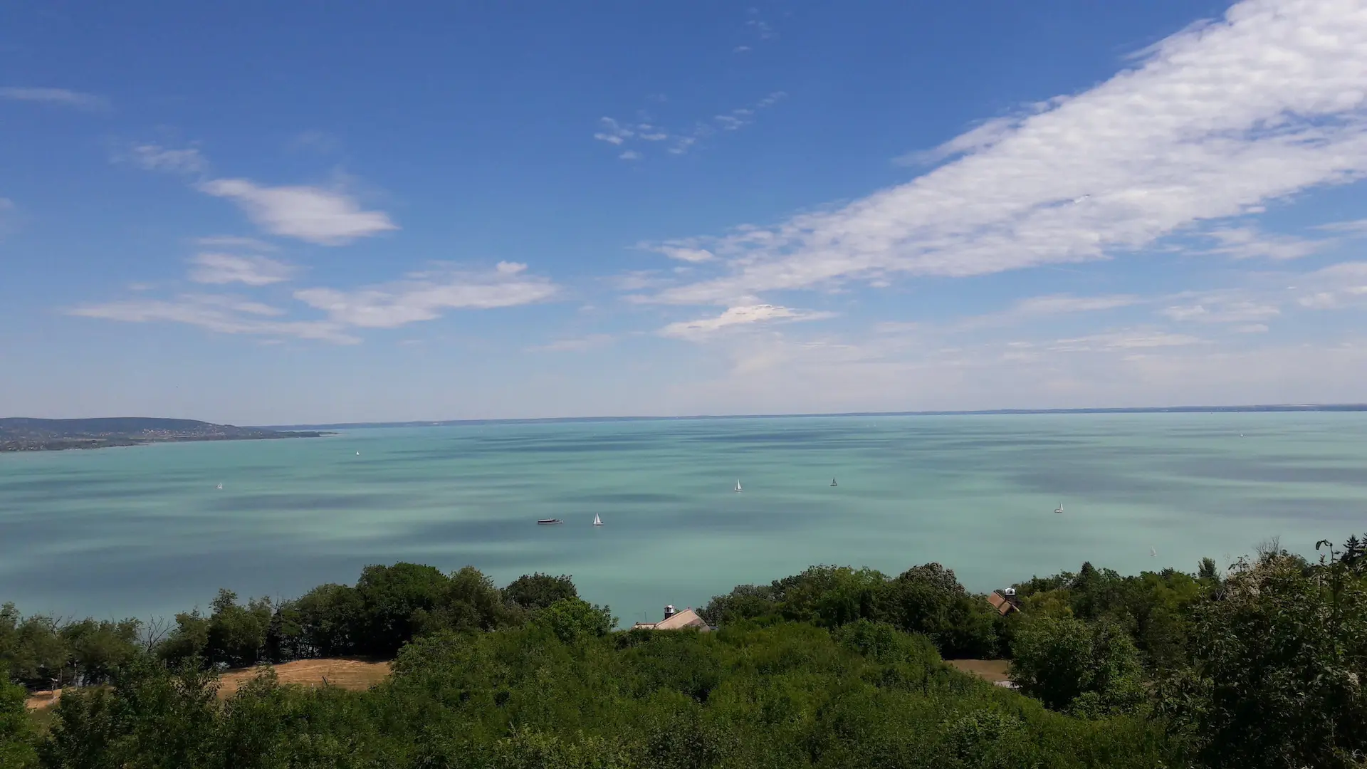 Terra Mater: Der Plattensee - Ungarns Wasserwildnis backdrop