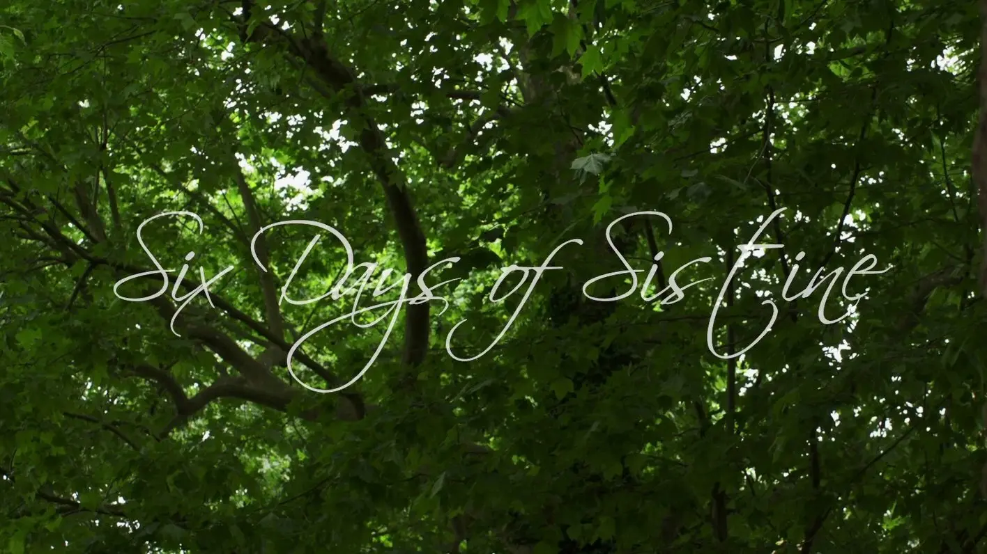 Six Days of Sistine backdrop