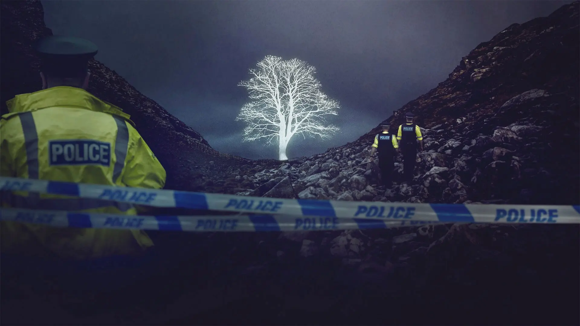 The Sycamore Gap Mystery backdrop