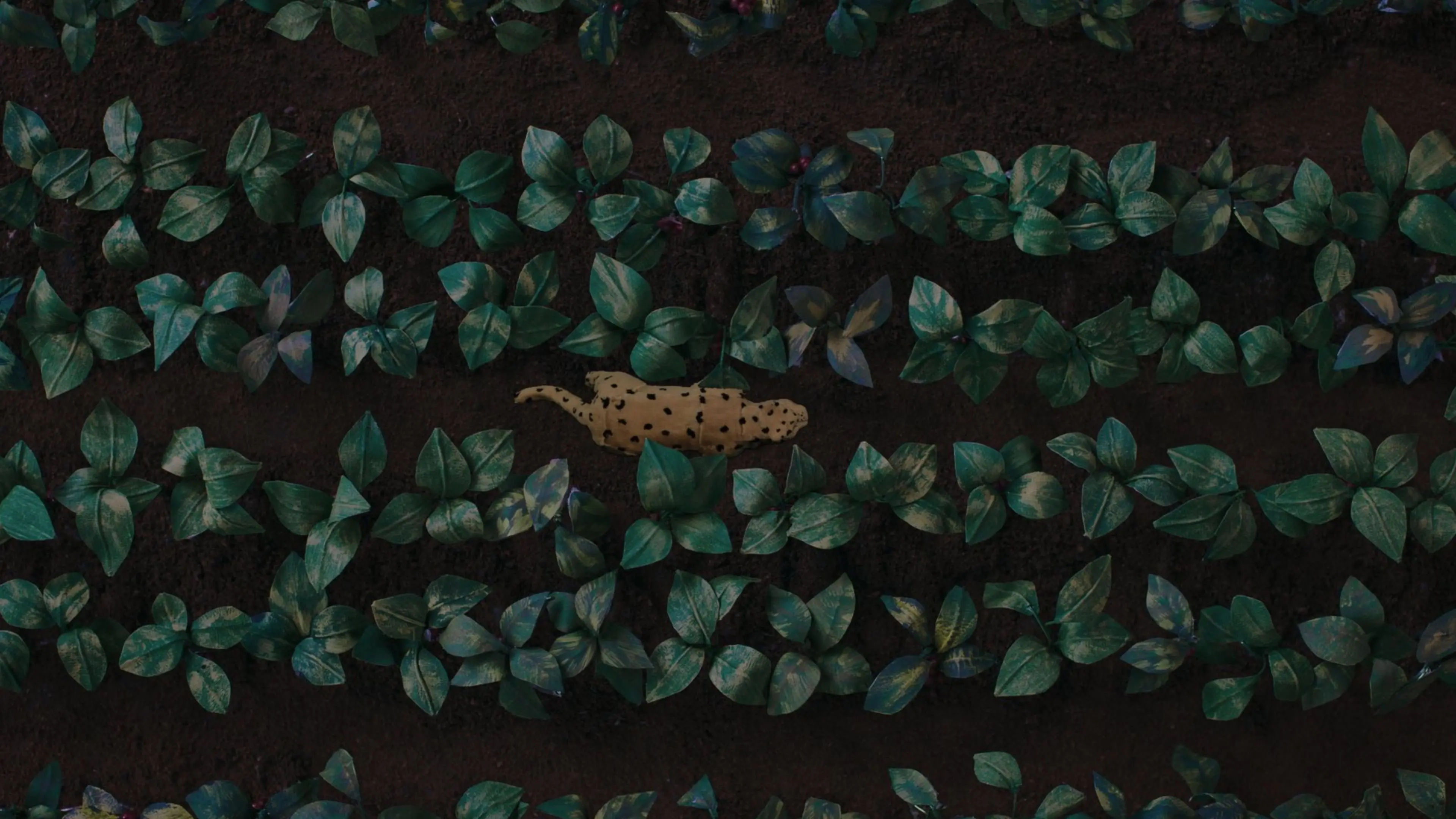 The Sound of the Jaguar backdrop